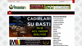 What Ihvanlar.net website looked like in 2021 (3 years ago)
