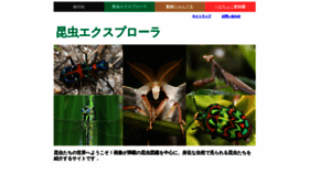 What Insects.jp website looked like in 2021 (3 years ago)