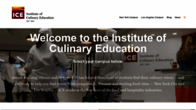 What Ice.edu website looked like in 2021 (3 years ago)