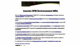 What Insectes.org website looked like in 2021 (3 years ago)