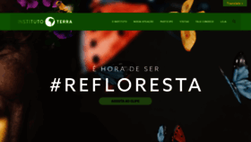 What Institutoterra.org website looked like in 2021 (3 years ago)