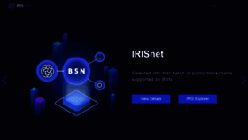 What Irisnet.org website looked like in 2021 (3 years ago)