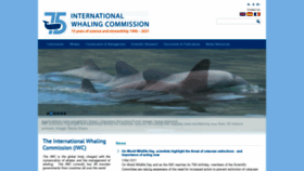 What Iwc.int website looked like in 2021 (4 years ago)
