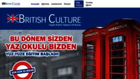 What Izmiringilizkultur.com website looked like in 2021 (3 years ago)