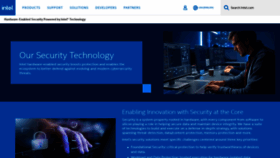 What Intelsecurity.com website looked like in 2021 (3 years ago)