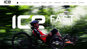 What Icetrikes.co website looked like in 2021 (2 years ago)