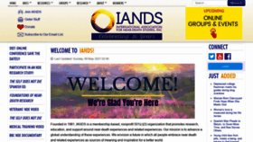 What Iands.org website looked like in 2021 (2 years ago)