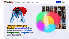 What Instaspy.pro website looked like in 2021 (2 years ago)
