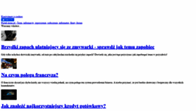 What Isrem.pl website looked like in 2021 (2 years ago)