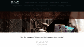 What Igramfollower.com website looked like in 2021 (2 years ago)