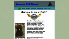 What Immerzupuli.com website looked like in 2021 (2 years ago)