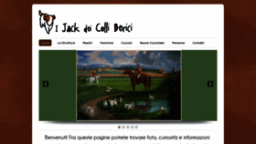 What Ijackdeicolliberici.com website looked like in 2021 (2 years ago)