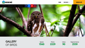 What India-birds.com website looked like in 2021 (2 years ago)