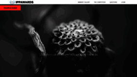 What Ippawards.com website looked like in 2022 (2 years ago)