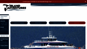 What Island-adventures.com website looked like in 2022 (1 year ago)
