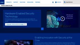 What Intelsecurity.com website looked like in 2022 (1 year ago)