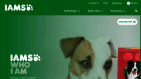 What Iams.com website looked like in 2022 (1 year ago)