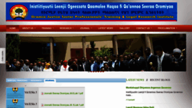 What Ilqso.gov.et website looked like in 2022 (1 year ago)
