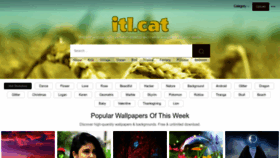 What Itl.cat website looked like in 2023 (1 year ago)
