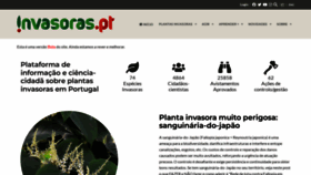 What Invasoras.pt website looked like in 2023 (1 year ago)