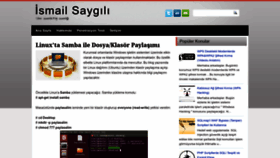 What Ismailsaygili.com.tr website looked like in 2023 (1 year ago)