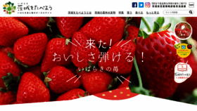 What Ibaraki-shokusai.net website looked like in 2023 (3 years ago)