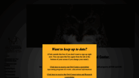 What Internationalowlcenter.org website looked like in 2023 (1 year ago)