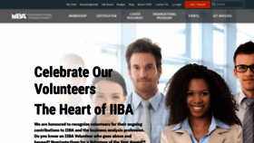 What Iiba.org website looked like in 2023 (This year)