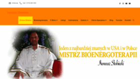 What Ireneuszstobiecki.com website looked like in 2023 (This year)