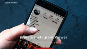 What Instaviewer.pro website looked like in 2023 (This year)