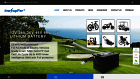 What Ionli-battery.com website looked like in 2023 (This year)