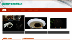 What Ikayoudao.com website looked like in 2023 (This year)