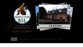 What Inspectionbsl.com website looked like in 2023 (This year)