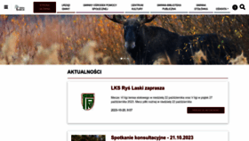 What Izabelin.pl website looked like in 2023 (This year)