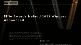 What Iapi.ie website looked like in 2023 (This year)