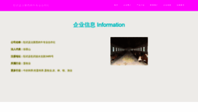 What Iroblox.cn website looked like in 2023 (This year)