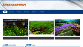 What Iyviypy.cn website looked like in 2023 (This year)