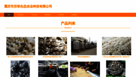 What Izhwsfi.cn website looked like in 2023 (This year)