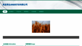 What Irongda.cn website looked like in 2023 (This year)
