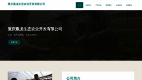 What Ishuangliao.cn website looked like in 2023 (This year)