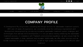 What Ig-developer.com website looked like in 2023 (This year)