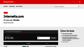 What Interneka.com website looked like in 2023 (This year)