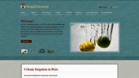 What Ibizacolonics.com website looks like in 2024 