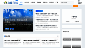 What Ixiaolan.com website looks like in 2024 