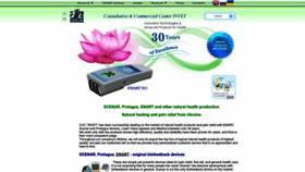 What Invet.net website looked like in 2024 (1 year ago)
