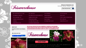 What Iriswarehouse.com website looks like in 2024 