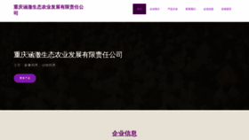 What It-x.cn website looks like in 2024 