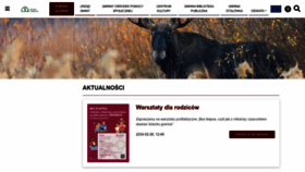 What Izabelin.pl website looks like in 2024 