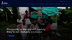 What Ifad.org website looked like in 2024 (2 years ago)