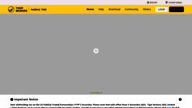 What Itiger.com website looks like in 2024 